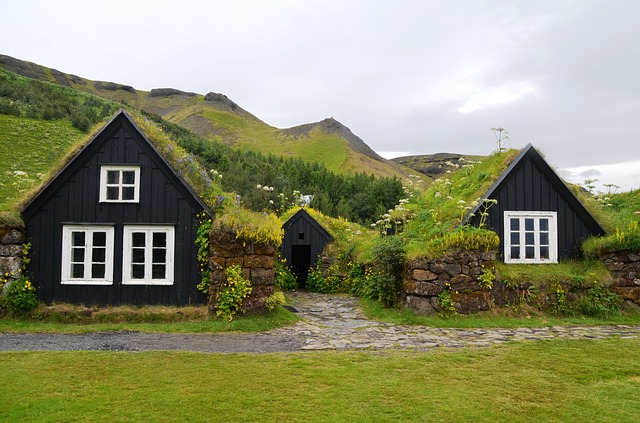 huis groen dak
